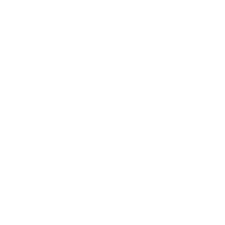 Money Icon